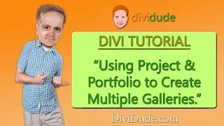 Divi Creating Multiple Galleries Using Project and Portfolio Tutorial