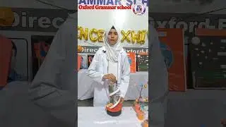 structure of DNA | Oxford Grammar school Shahdara town campus