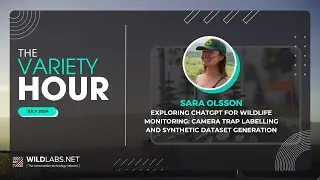 Sara Olsson: Exploring ChatGPT for wildlife monitoring