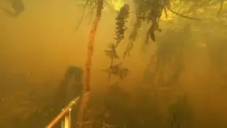 Последняя охота в 2023 году река Западная Двина