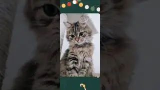 Земфира-Искала speed up