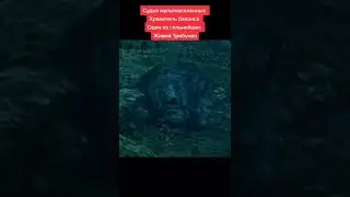 Мультивсиленная. хранитель баланса