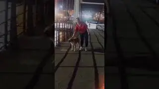 Yaz Güzelligi