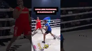 LUCHA LIBRE PROFESIONAL DE ALMOHADAZOS #shorts