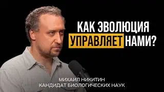 Why Did Evolution Make Us Anxious and Lazy? Mikhail Nikitin