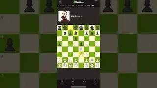 How to lose against Martin