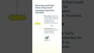 Is Your Area at Risk? Understanding Flood Warnings Like a PRO! #before #shorts #youtubeshorts #fyp