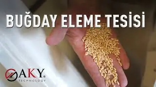 Buğday Eleme Tesisi - AKY Technology