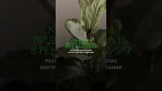 Знаете ли вы, что ролики делаются на 2 основных типа: на широкую и узкую аудиторию?🤯