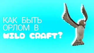 Как быть настоящим орлом в Wild Craft? Бесполезный, но полезный видеоурок