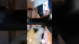 💕 Басик может расплакаться💕