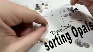 Sorting through a bunch of Opals from all over the place!!