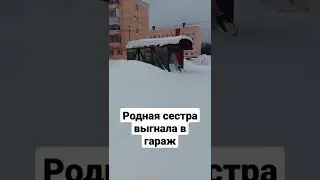 Бабушка два года жила в гараже, родная сестра выгнала из дома.