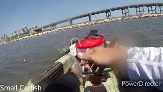 Halifax River Trip
