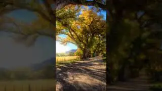 Будьте чисты в Чистый четверг