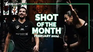 Squash Shots of the Month - February 2024 💥