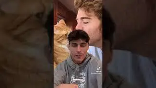 What all Shane Dawson was cancelled for 