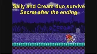 ANOTHER SECRET, Sally hit Amy with electric shield-Sally.exe continued nightmare part 1