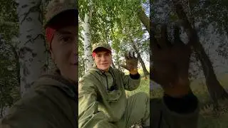 У меня 5 источников дохода, работаю по 15 часов в день! Продуктивный день миллионера с нуля!