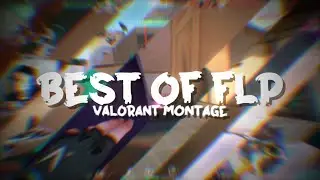 Best of FLP 