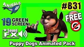 Puppy Dog Green Screen 3D