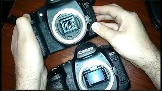 DSLR cameras and DSLM / Mirrorless cameras. How they work and what's the difference?