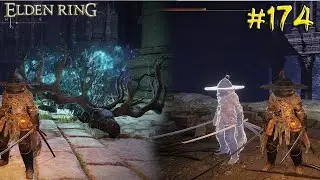 Espíritu Ancestral Majestuoso Y Lagrima Mimética ELDEN RING | The Jeg #174