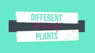 Science Song: Kinds of plants