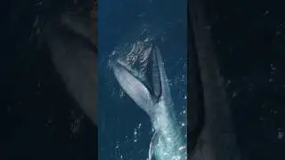 The biggest gulp in the world! 