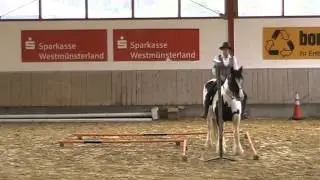 Working Equitation Trail 2 ,Wiebke mit Gwendolyn Borken 2013