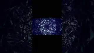 The Art of Tunnel Effects in After Effects