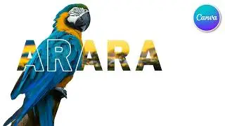 Como criar texto em imagens no CANVA (FÁCIL!!!)
