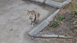 Bostanaș 2 o noua revedere...