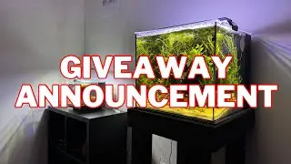 Giveaway Announcement +Tanks Updates!