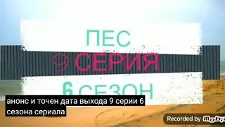 пес 6 сезон 9 серия