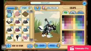 ANIMAL JAM GIVEAWAY (CLOSED CHOOSING WINNERs)