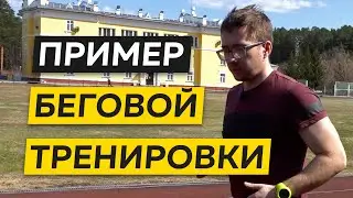 Первая беговая тренировка - Пример легкой тренировки для начинающих бегунов