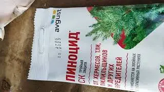 Весенняя обработка хвойных в Краснодаре