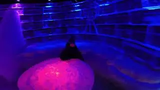 Ice bar