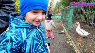Кормим животных в Фестивальном парке Гомеля.