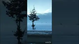 Snow 2024 in Germany ☃️⛄️❄️