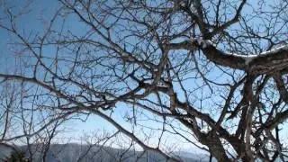 2013 02 23토 불교성지 오대산 산행