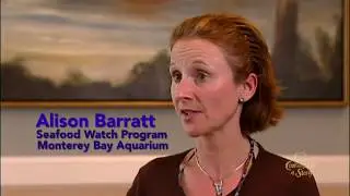 Ocean's Apex Predators: Rethinking Our Top Seafood Choices