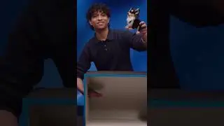 Percy Jackson cast play what’s in the box 