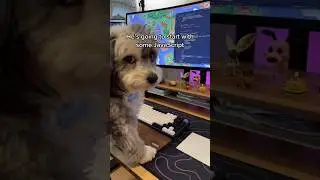Teaching my dog JavaScript???!!