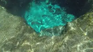 Freedive into one of the Devil holes @ Ginnie springs