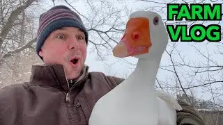 A Few Minor Adjustments - FARM VLOG
