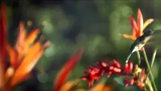 ♫ Vangelis ~ Prelude ♫