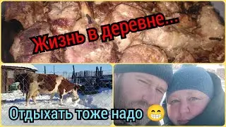 Жизнь в деревне .Выходной,жарим шашлык,гуляем с Милкой. Зимняя прогулка коровы.
