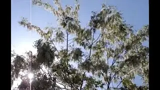месяц МАЙ